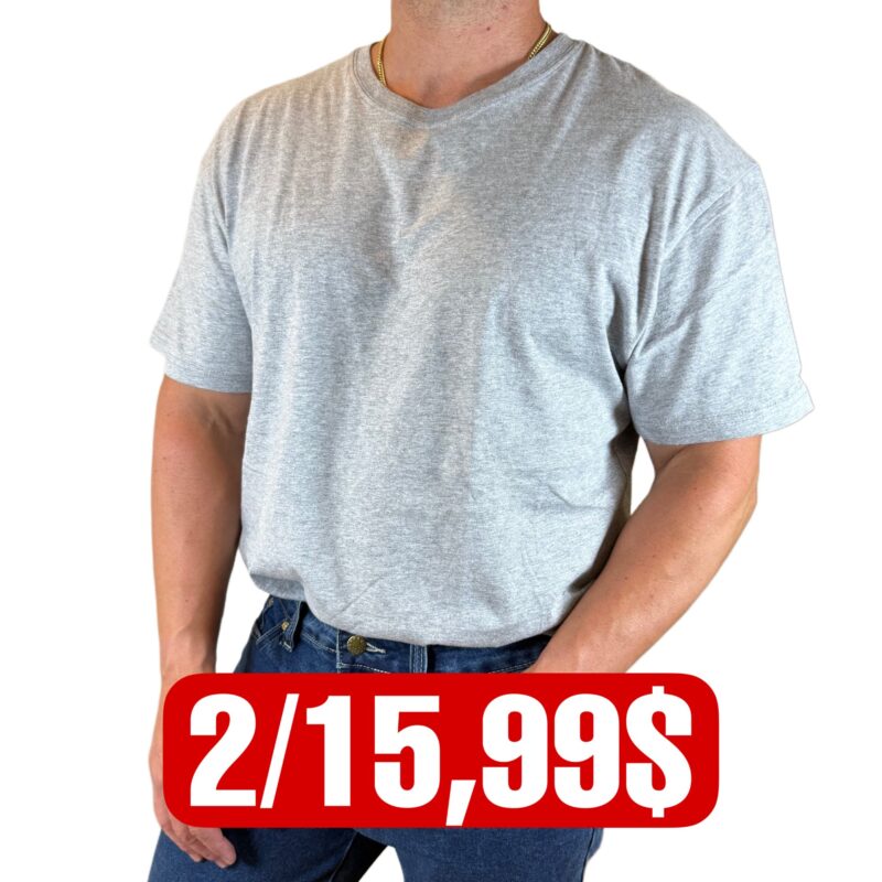 IMAGE T-SHIRT GRIS AVEC PRIX
